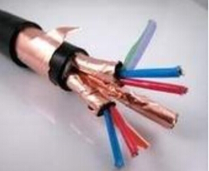 聚乙烯絕緣電子計算機電纜
